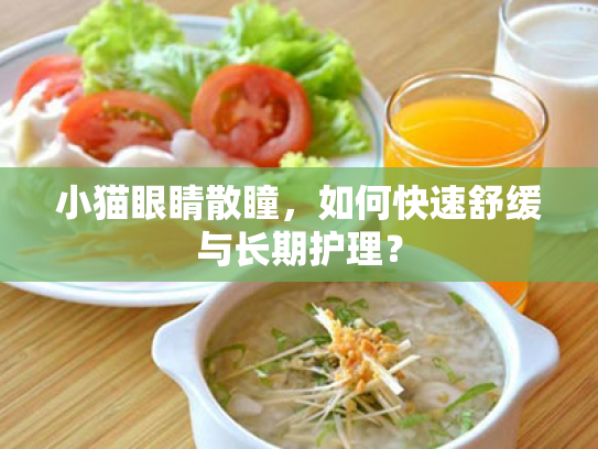 小猫眼睛散瞳,如何快速舒缓与长期护理? 小猫眼睛散瞳,如何快速舒缓与长期护理?