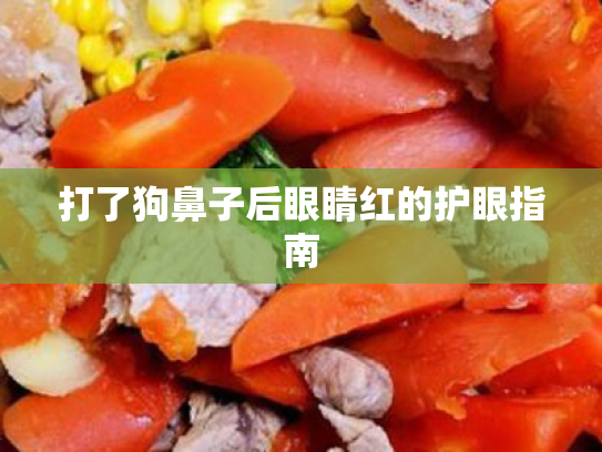 打了狗鼻子后眼睛红的护眼指南 打了狗鼻子后眼睛红的护眼指南