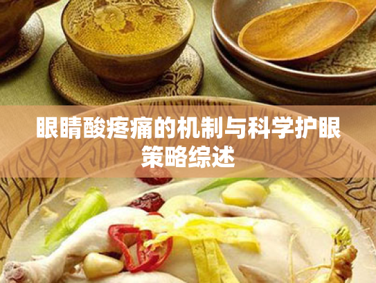 眼睛酸疼痛的机制与科学护眼策略综述 眼睛酸疼痛的机制与科学护眼策略综述