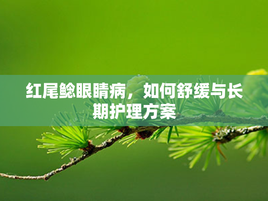 红尾鲶眼睛病,如何舒缓与长期护理方案 红尾鲶眼睛病,如何舒缓与长期护理方案