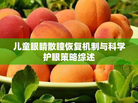 儿童眼睛散瞳恢复机制与科学护眼策略综述