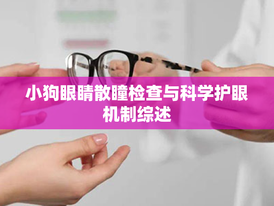 小狗眼睛散瞳检查与科学护眼机制综述 小狗眼睛散瞳检查与科学护眼机制综述