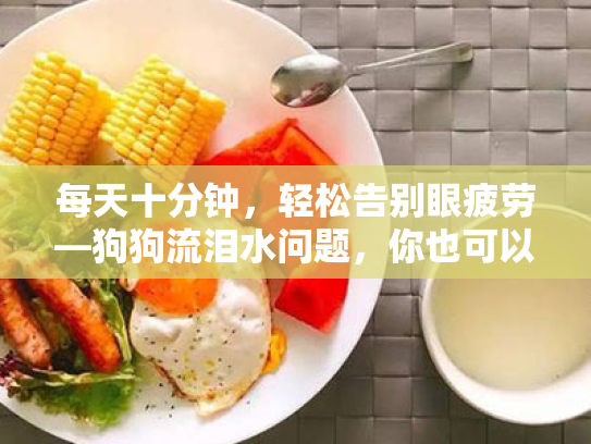 每天十分钟，轻松告别眼疲劳—狗狗流泪水问题，你也可以轻松解决