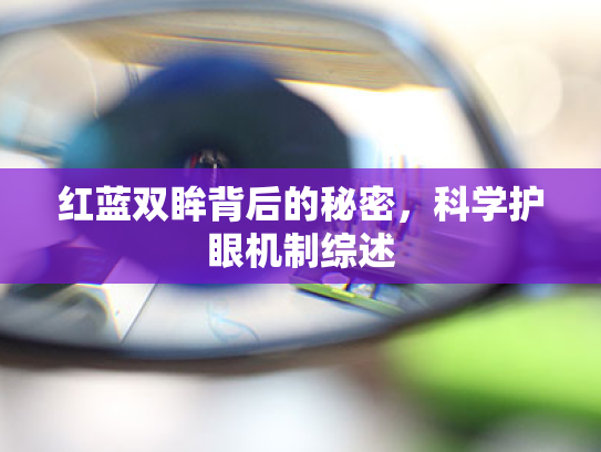 红蓝双眸背后的秘密，科学护眼机制综述