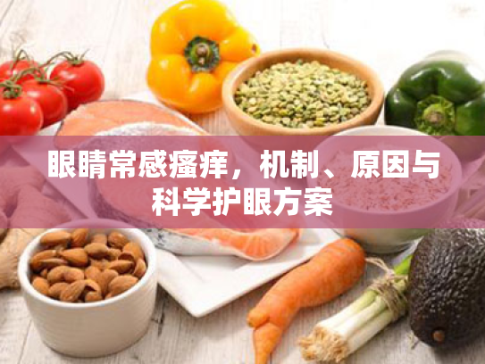 眼睛常感瘙痒，机制、原因与科学护眼方案