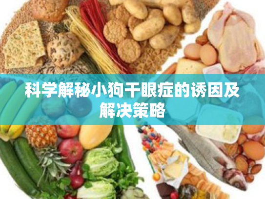 科学解秘小狗干眼症的诱因及解决策略 科学解秘小狗干眼症的诱因及解决策略