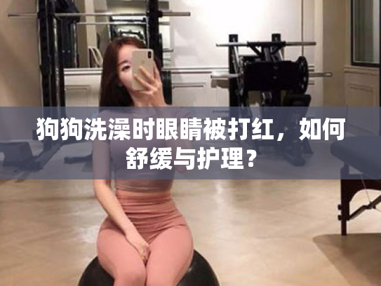 狗狗洗澡时眼睛被打红,如何舒缓与护理? 狗狗洗澡时眼睛被打红,如何舒缓与护理?