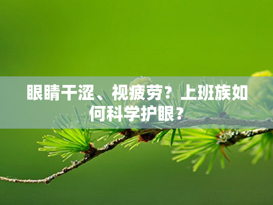 眼睛干涩、视疲劳?上班族如何科学护眼? 眼睛干涩、视疲劳?上班族如何科学护眼?