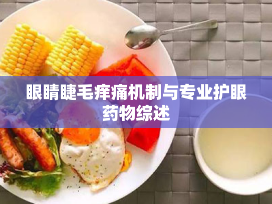 眼睛睫毛痒痛机制与专业护眼药物综述 眼睛睫毛痒痛机制与专业护眼药物综述