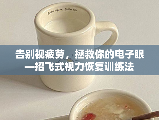 告别视疲劳,拯救你的电子眼—招飞式视力恢复训练法 告别视疲劳,拯救你的电子眼—招飞式视力恢复训练法