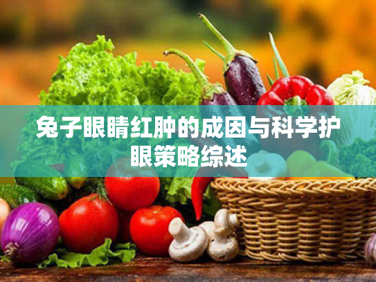 兔子眼睛红肿的成因与科学护眼策略综述 兔子眼睛红肿的成因与科学护眼策略综述