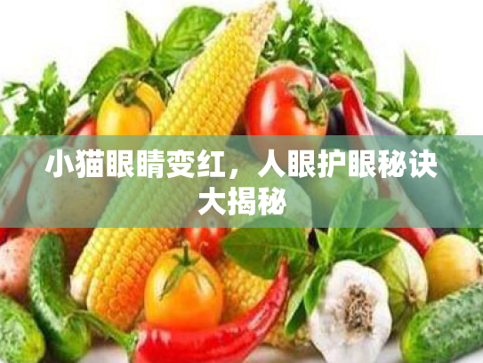 小猫眼睛变红,人眼护眼秘诀大揭秘 小猫眼睛变红,人眼护眼秘诀大揭秘