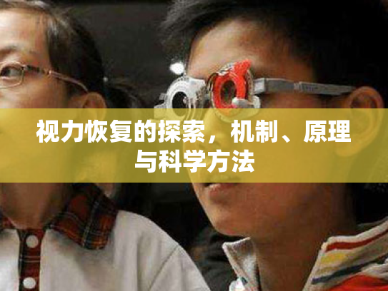 视力恢复的探索，机制、原理与科学方法