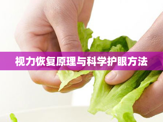 视力恢复原理与科学护眼方法