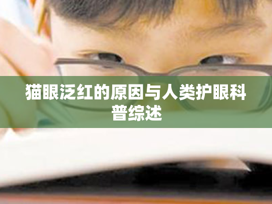 猫眼泛红的原因与人类护眼科普综述 猫眼泛红的原因与人类护眼科普综述