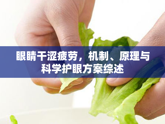 眼睛干涩疲劳,机制、原理与科学护眼方案综述 眼睛干涩疲劳,机制、原理与科学护眼方案综述