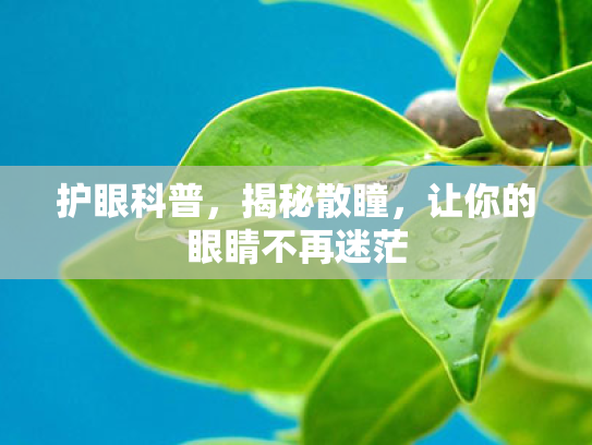 护眼科普,揭秘散瞳,让你的眼睛不再迷茫 护眼科普,揭秘散瞳,让你的眼睛不再迷茫