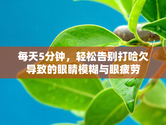 每天5分钟，轻松告别打哈欠导致的眼睛模糊与眼疲劳