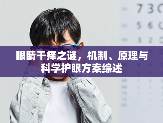 眼睛干痒之谜,机制、原理与科学护眼方案综述 眼睛干痒之谜,机制、原理与科学护眼方案综述