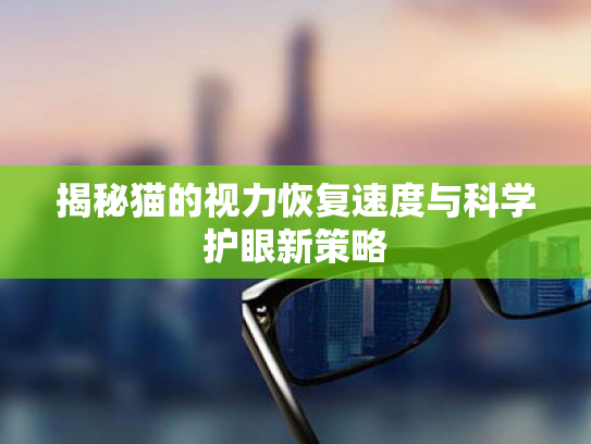 揭秘猫的视力恢复速度与科学护眼新策略 揭秘猫的视力恢复速度与科学护眼新策略
