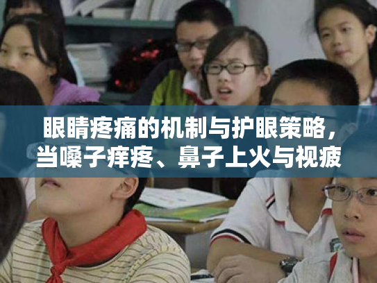 眼睛疼痛的机制与护眼策略,当嗓子痒疼、鼻子上火与视疲劳相遇