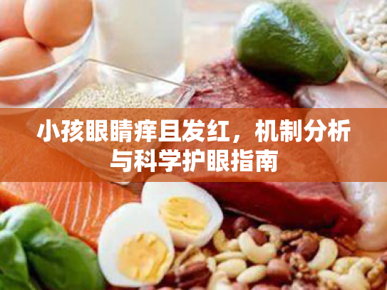 小孩眼睛痒且发红,机制分析与科学护眼指南