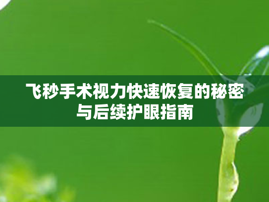 飞秒手术视力快速恢复的秘密与后续护眼指南