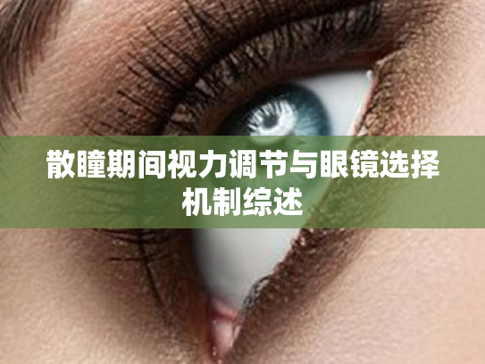 散瞳期间视力调节与眼镜选择机制综述