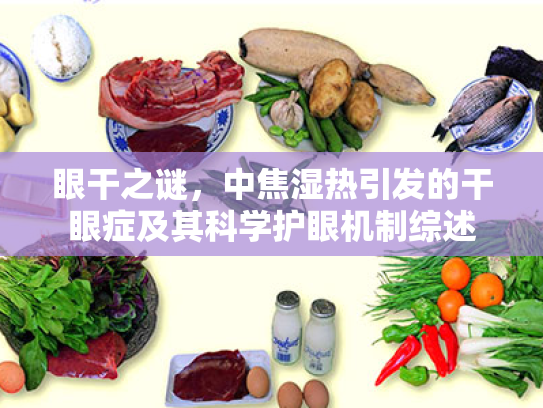 眼干之谜,中焦湿热引发的干眼症及其科学护眼机制综述