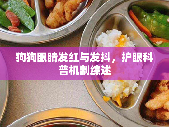 狗狗眼睛发红与发抖,护眼科普机制综述