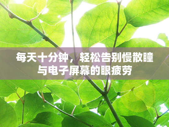 每天十分钟,轻松告别慢散瞳与电子屏幕的眼疲劳