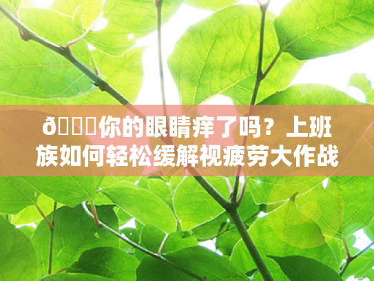 👁你的眼睛痒了吗?上班族如何轻松缓解视疲劳大作战