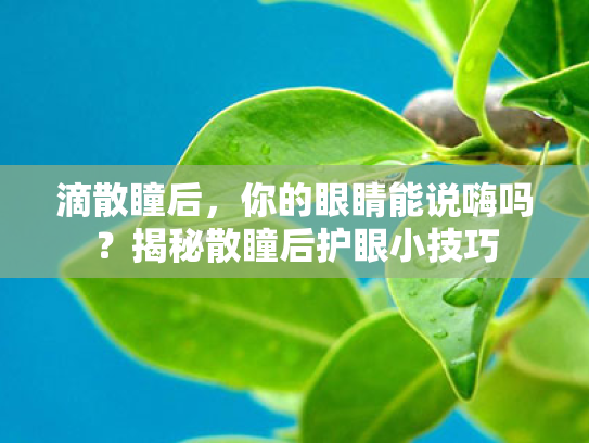 滴散瞳后,你的眼睛能说嗨吗?揭秘散瞳后护眼小技巧 滴散瞳后,你的眼睛能说嗨吗?揭秘散瞳后护眼小技巧