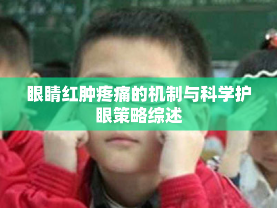 眼睛红肿疼痛的机制与科学护眼策略综述