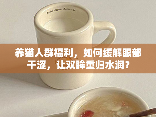 养猫人群福利，如何缓解眼部干涩，让双眸重归水润？