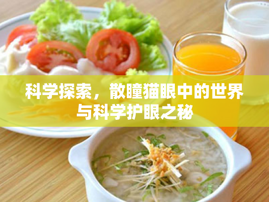 科学探索，散瞳猫眼中的世界与科学护眼之秘