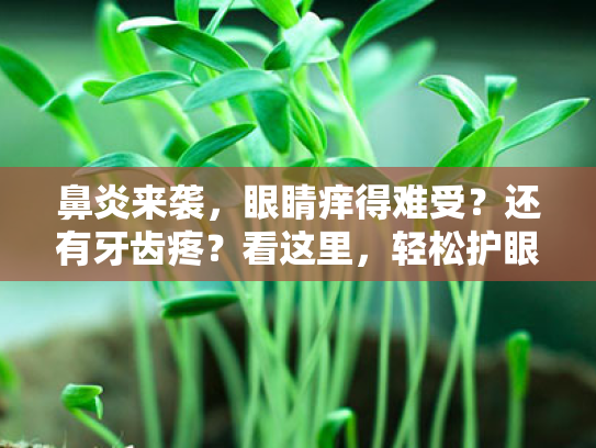 鼻炎来袭,眼睛痒得难受?还有牙齿疼?看这里,轻松护眼有妙招! 鼻炎来袭,眼睛痒得难受?还有牙齿疼?看这里,轻松护眼有妙招!