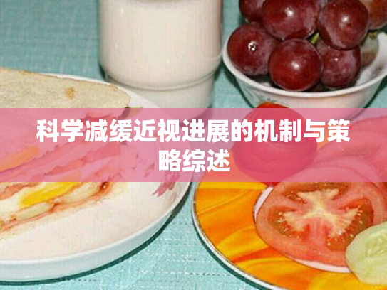 科学减缓近视进展的机制与策略综述 科学减缓近视进展的机制与策略综述