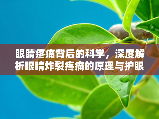 眼睛疼痛背后的科学,深度解析眼睛炸裂疼痛的原理与护眼策略 眼睛疼痛背后的科学,深度解析眼睛炸裂疼痛的原理与护眼策略