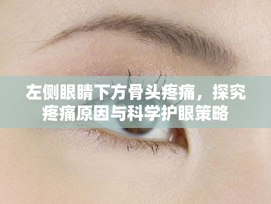 左侧眼睛下方骨头疼痛,探究疼痛原因与科学护眼策略 左侧眼睛下方骨头疼痛,探究疼痛原因与科学护眼策略