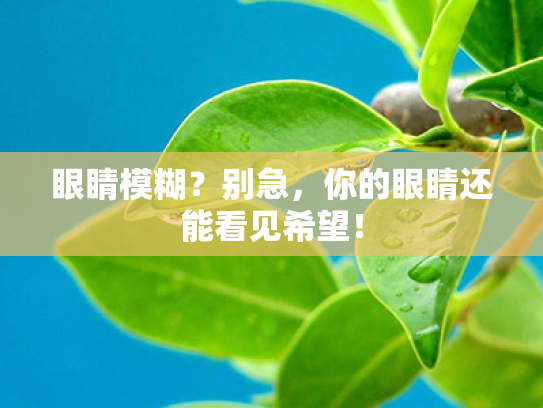 眼睛模糊?别急,你的眼睛还能看见希望! 眼睛模糊?别急,你的眼睛还能看见希望!