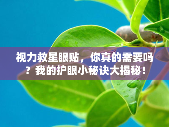 视力救星眼贴,你真的需要吗?我的护眼小秘诀大揭秘! 视力救星眼贴,你真的需要吗?我的护眼小秘诀大揭秘!
