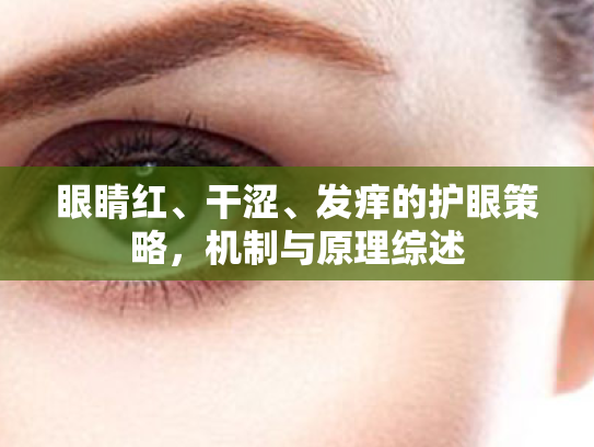 眼睛红、干涩、发痒的护眼策略,机制与原理综述 眼睛红、干涩、发痒的护眼策略,机制与原理综述