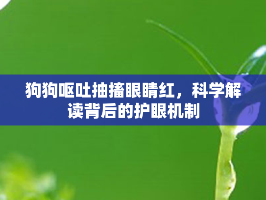 狗狗呕吐抽搐眼睛红,科学解读背后的护眼机制 狗狗呕吐抽搐眼睛红,科学解读背后的护眼机制