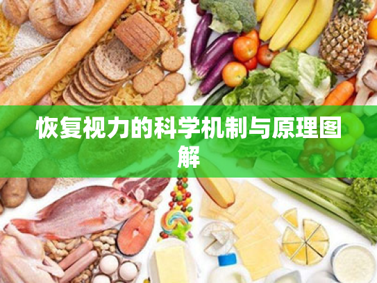 恢复视力的科学机制与原理图解 恢复视力的科学机制与原理图解