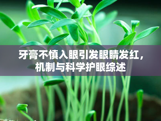 牙膏不慎入眼引发眼睛发红,机制与科学护眼综述 牙膏不慎入眼引发眼睛发红,机制与科学护眼综述