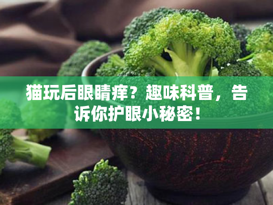 猫玩后眼睛痒?趣味科普,告诉你护眼小秘密! 猫玩后眼睛痒?趣味科普,告诉你护眼小秘密!