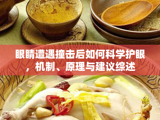 眼睛遭遇撞击后如何科学护眼,机制、原理与建议综述 眼睛遭遇撞击后如何科学护眼,机制、原理与建议综述