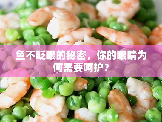 鱼不眨眼的秘密,你的眼睛为何需要呵护?